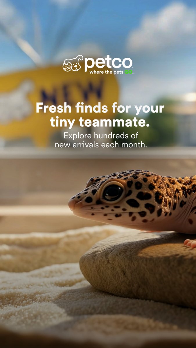 Petco: Explore NEW for small pets  