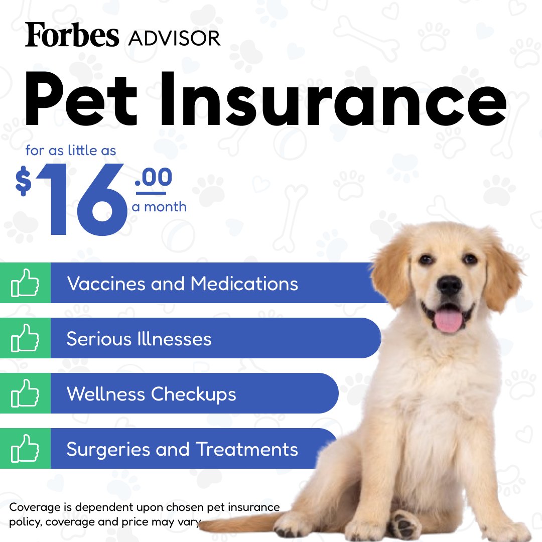 Forbes Advisor: WANTED: Pet Parents Looking For The Best Price In 2026