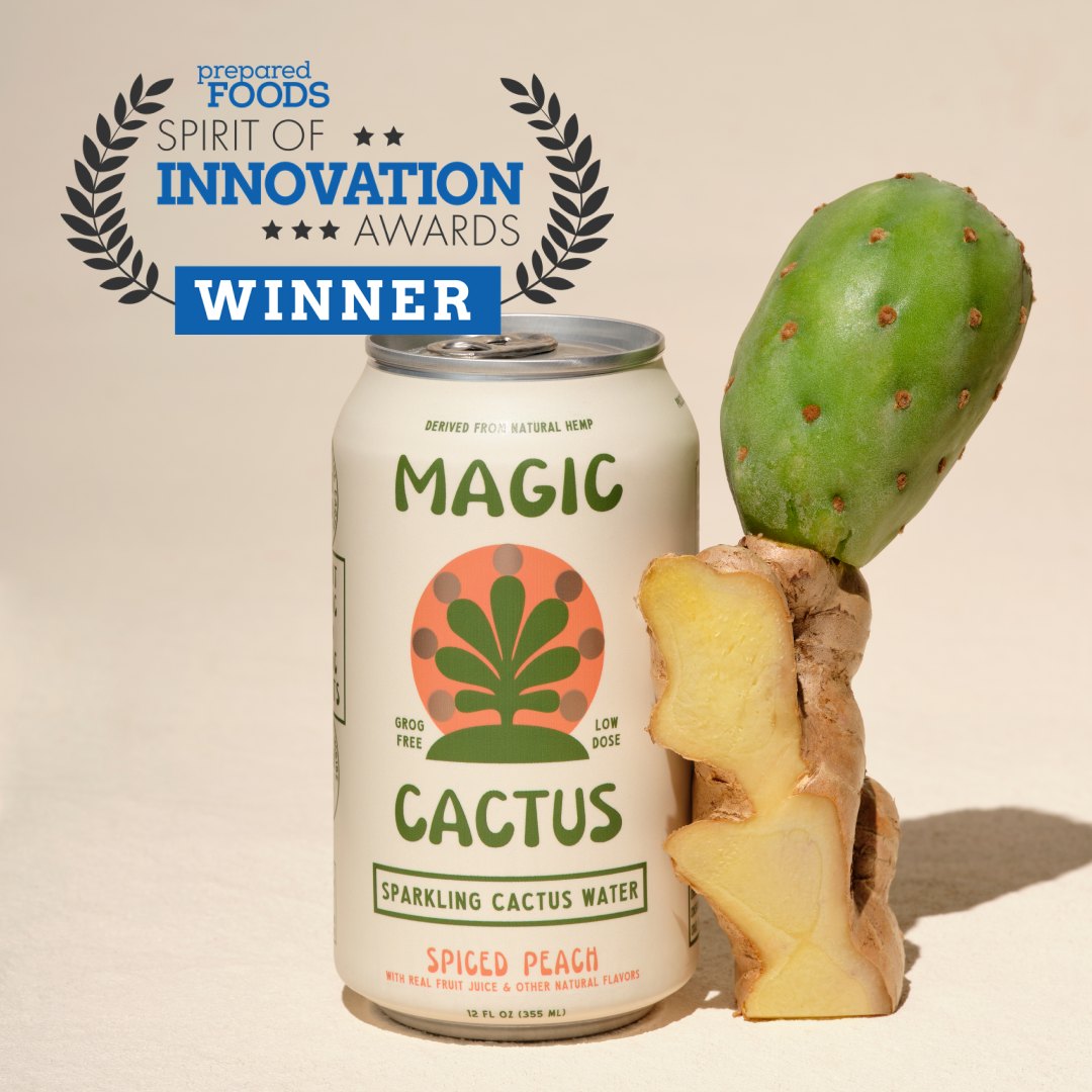 Magic Cactus: Enjoy the Buzz, Skip the Hangover🌵