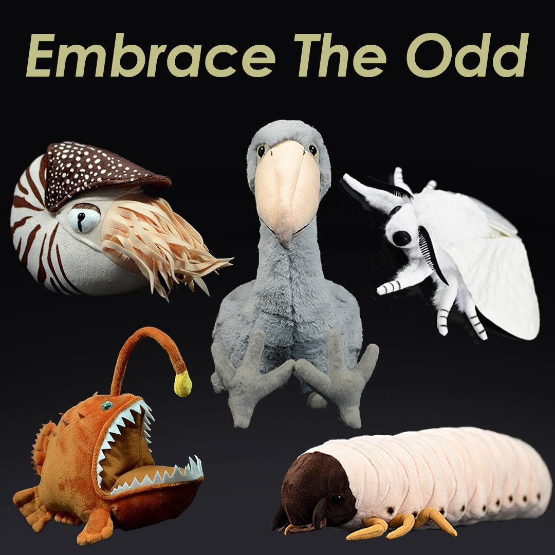 Gage Beasley: Oddities Worth Collecting