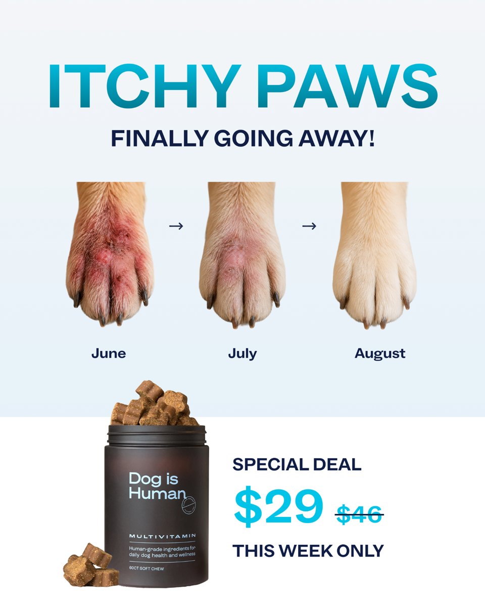 Dog is Human: Real results in just 1 tasty chew