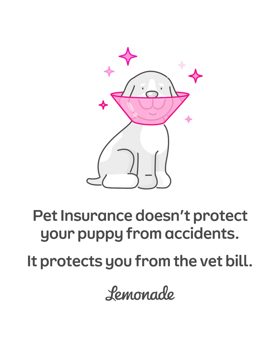 Lemonade: Lemonade Pet Insurance