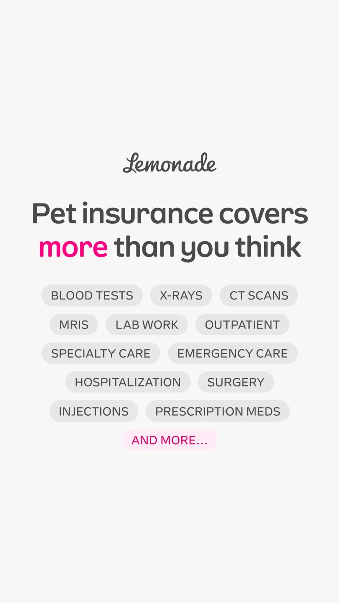 Lemonade: Lemonade Pet Insurance
