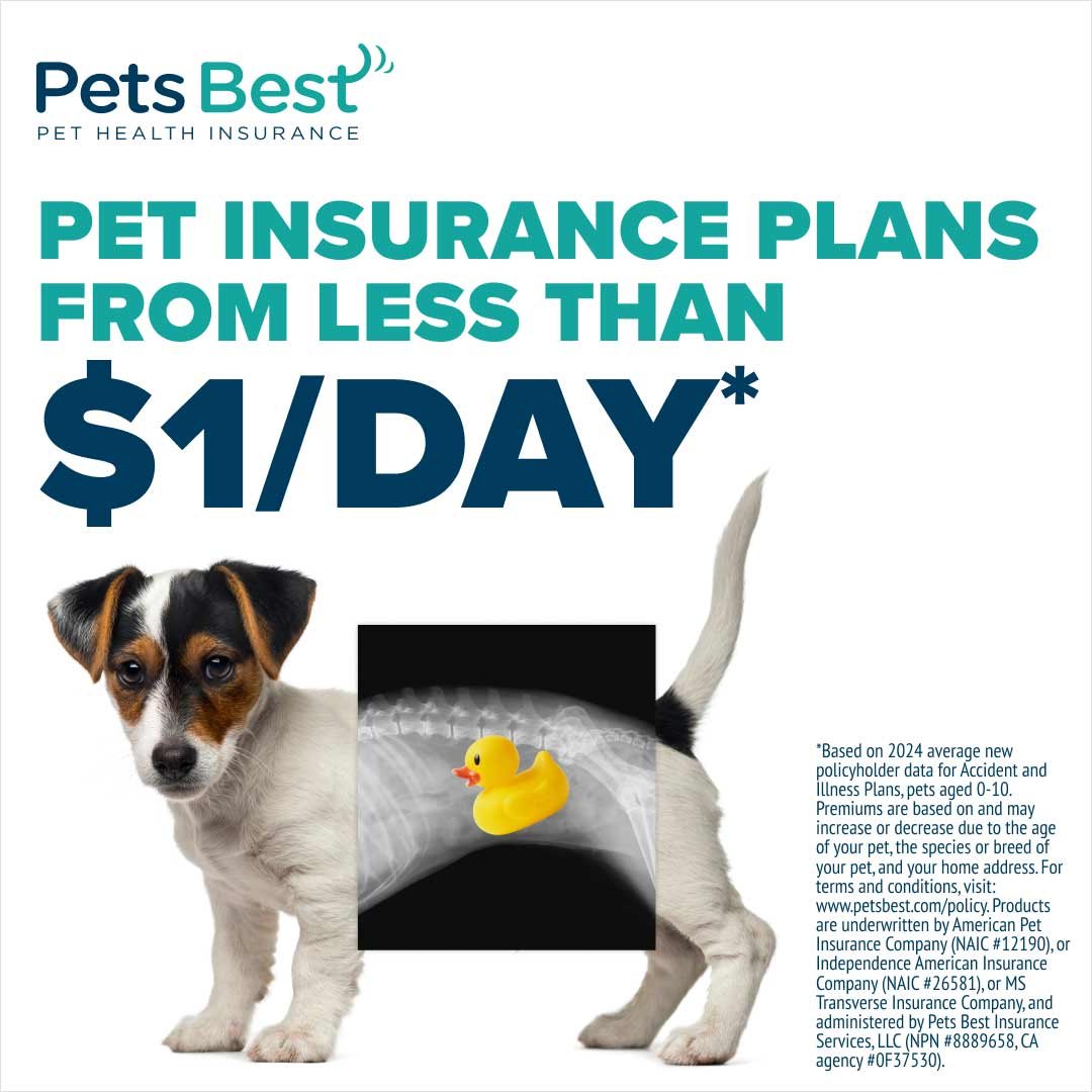 Pets Best Pet Health Insurance: Get a free quote today!
