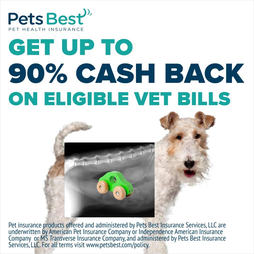 Pets Best Pet Health Insurance: Get a free quote today!