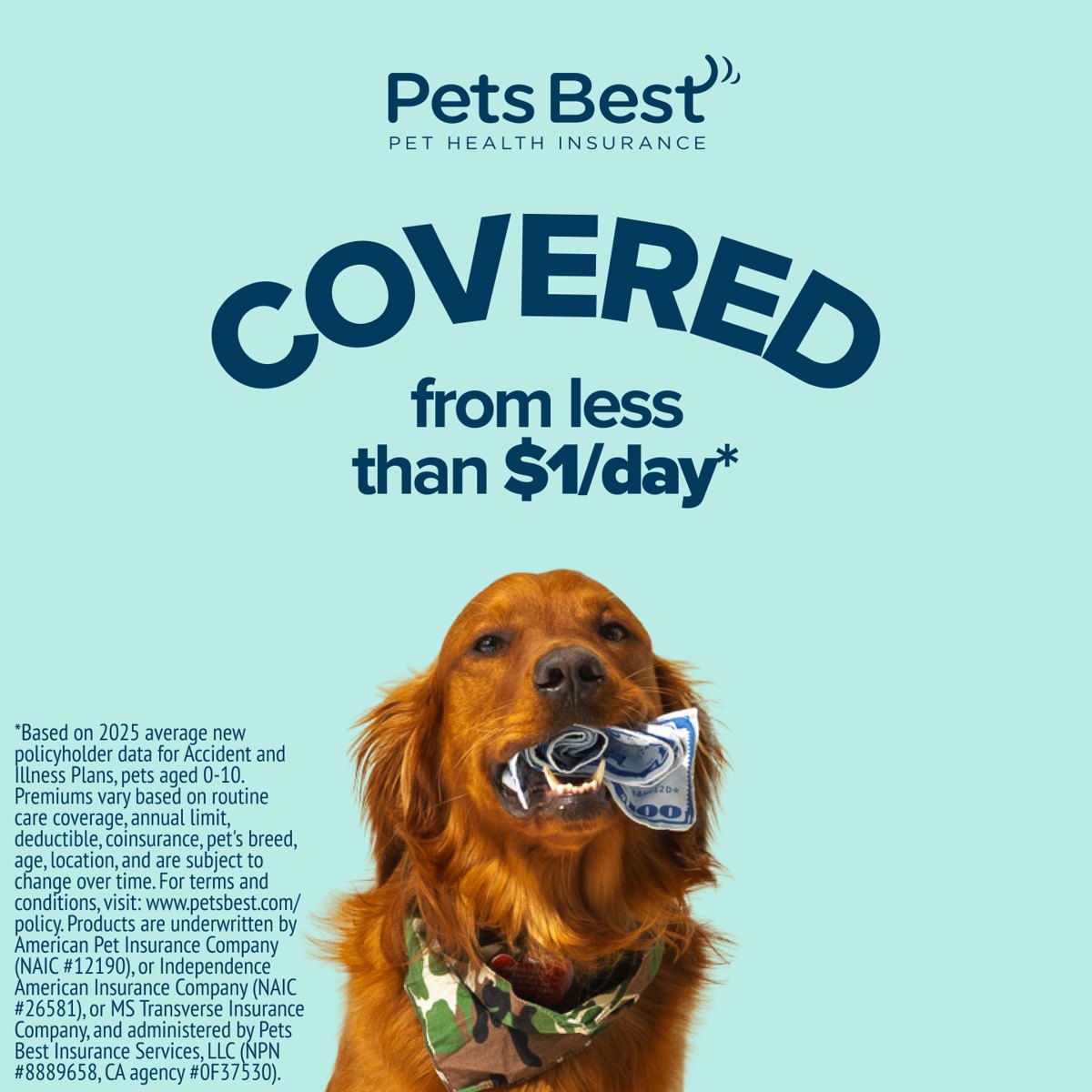 Pets Best Pet Health Insurance: Get a free quote today!