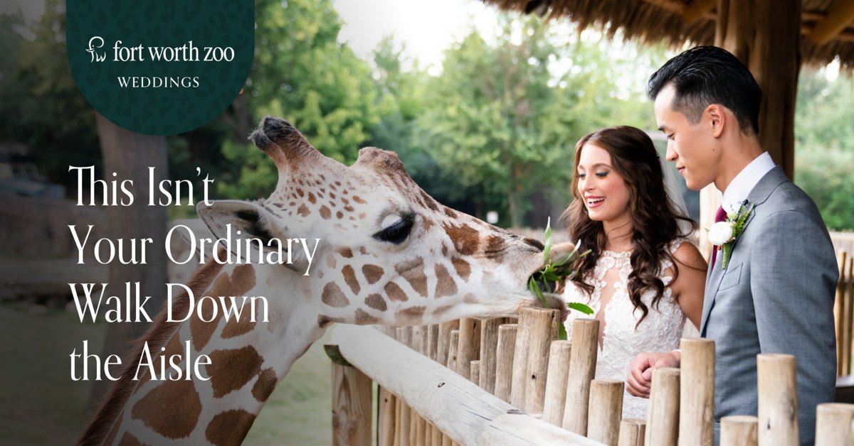 Fort Worth Zoo: It’s Your Special Day!