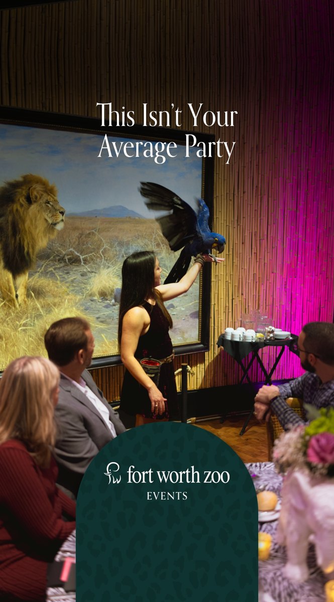 Fort Worth Zoo: Anything but Ordinary